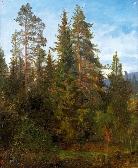 Anders Askevold Skogsstudie fra Eide Norge oil painting art